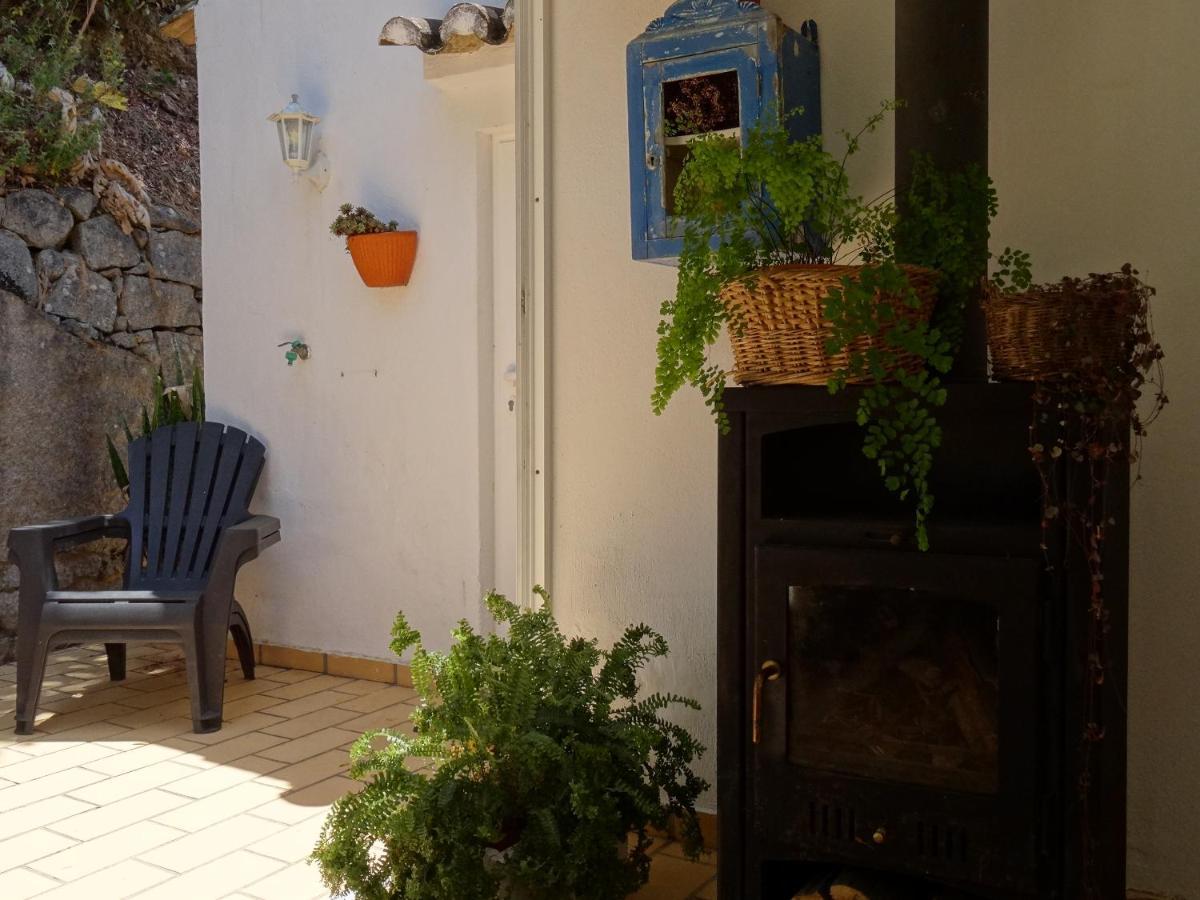 My Room - Villa Vina - Ter Monchique Exterior photo