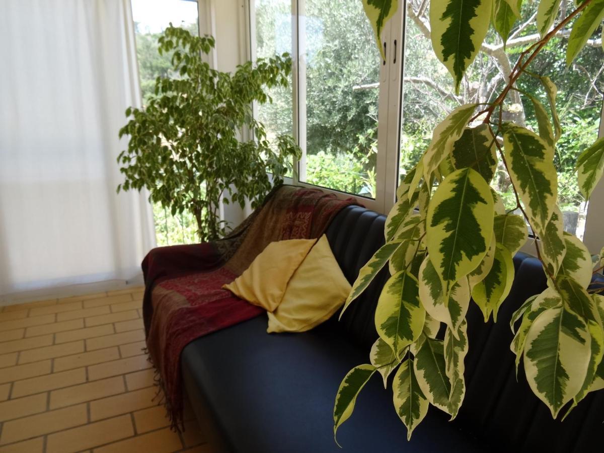 My Room - Villa Vina - Ter Monchique Exterior photo