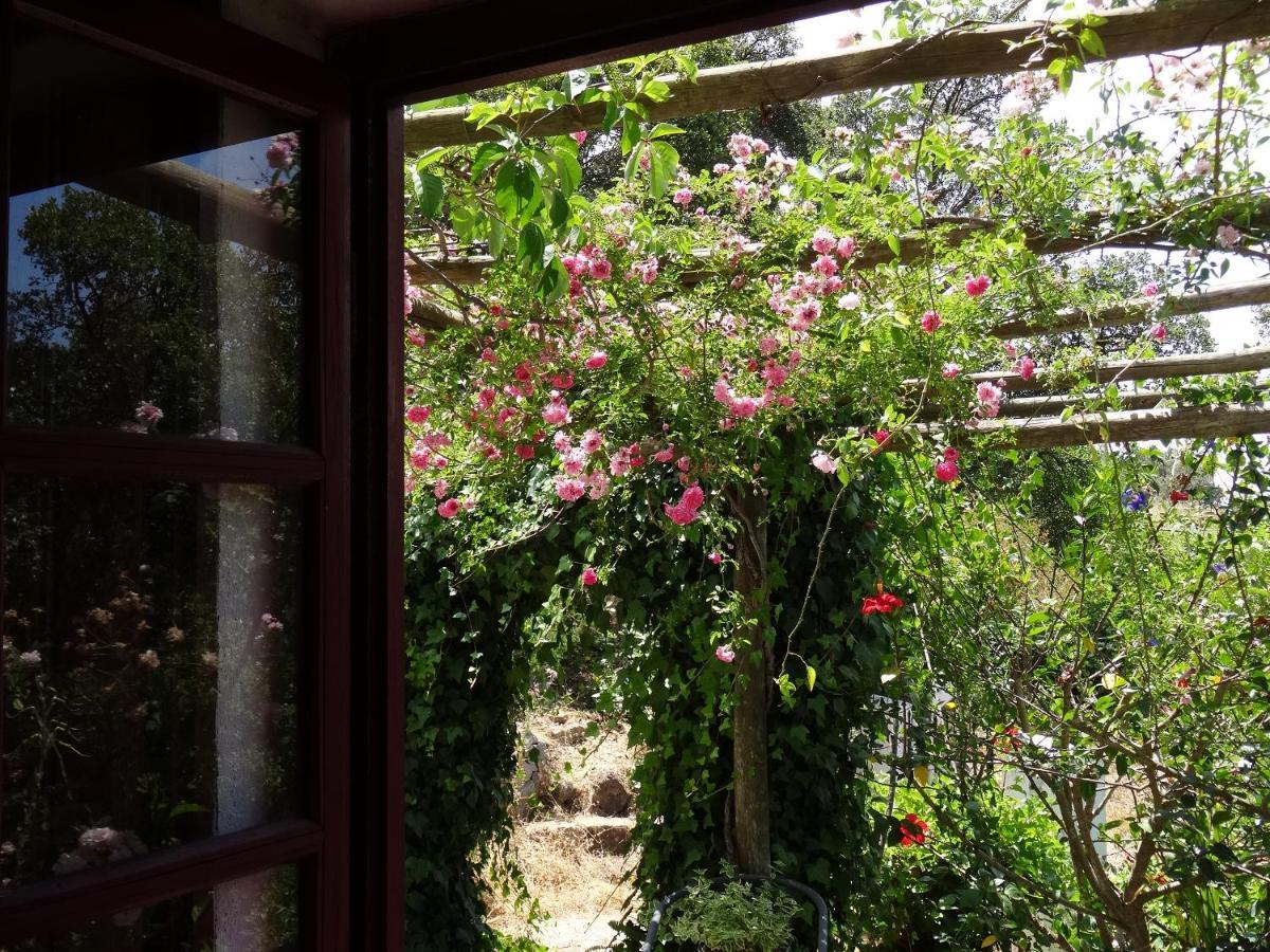 My Room - Villa Vina - Ter Monchique Exterior photo