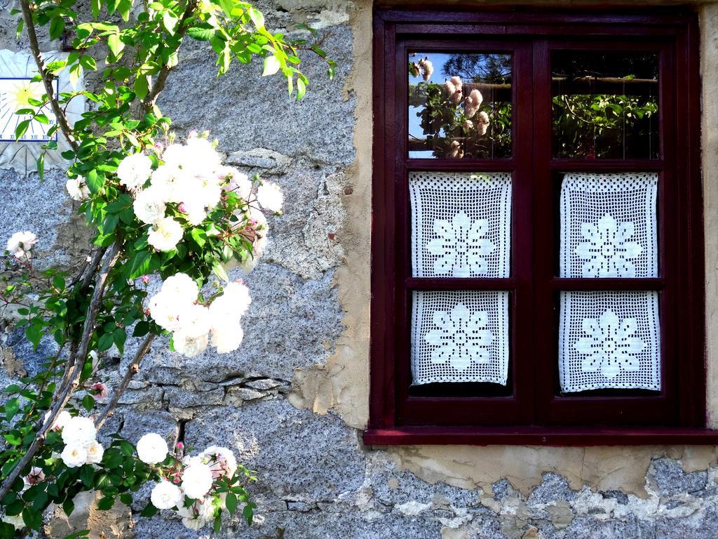 My Room - Villa Vina - Ter Monchique Exterior photo