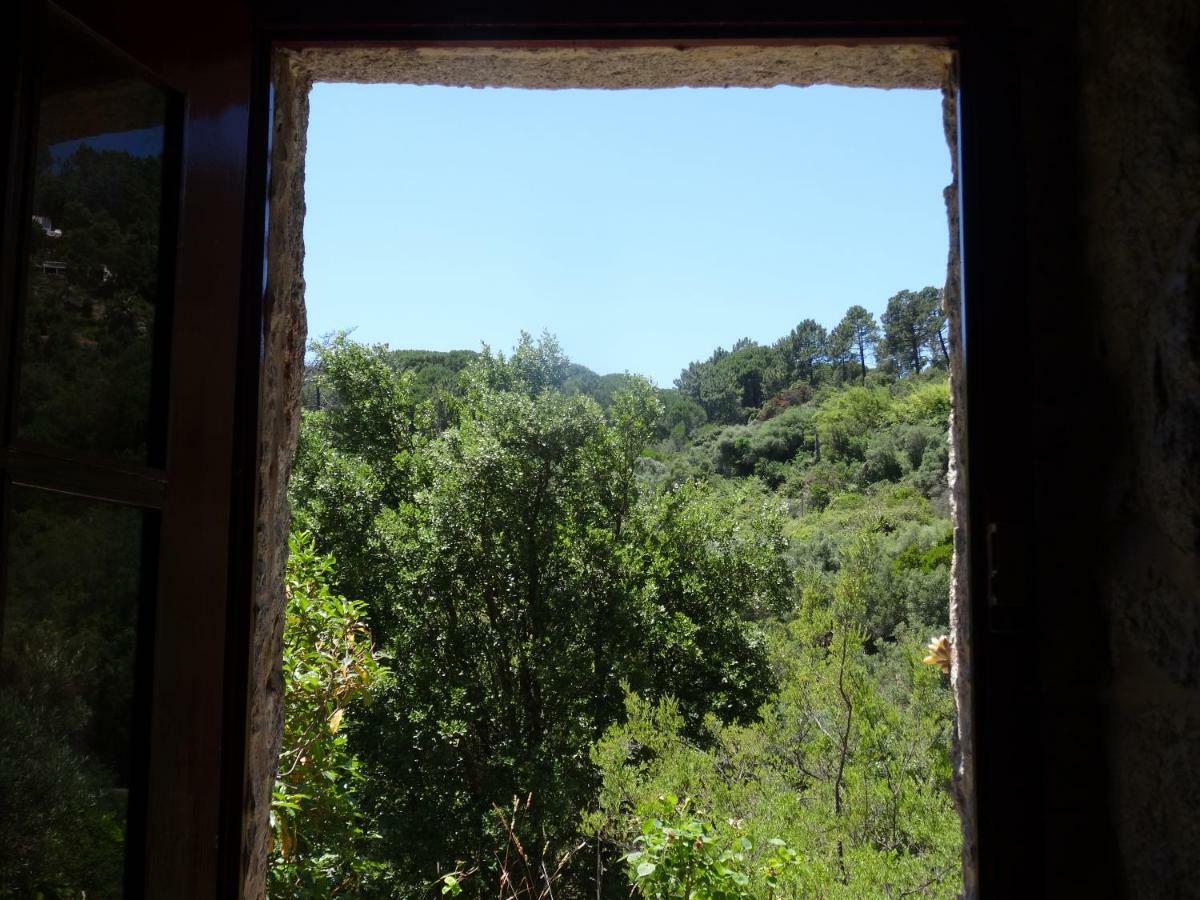 My Room - Villa Vina - Ter Monchique Exterior photo